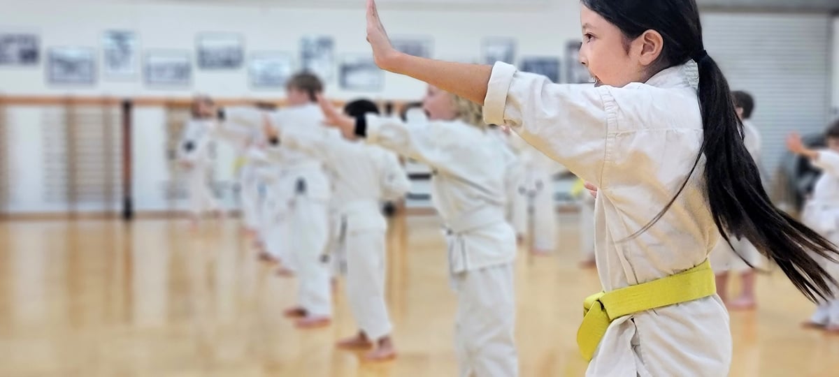 a person doing karate in a dojo